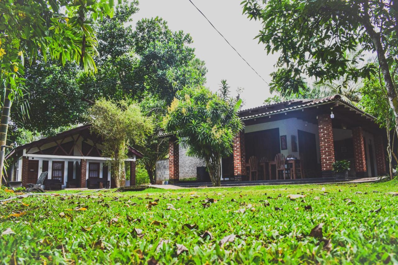 Green Cottage Anurâdhapura Extérieur photo