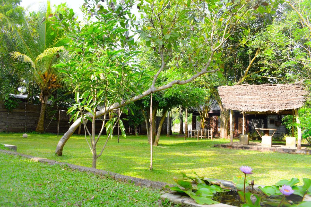 Green Cottage Anurâdhapura Extérieur photo