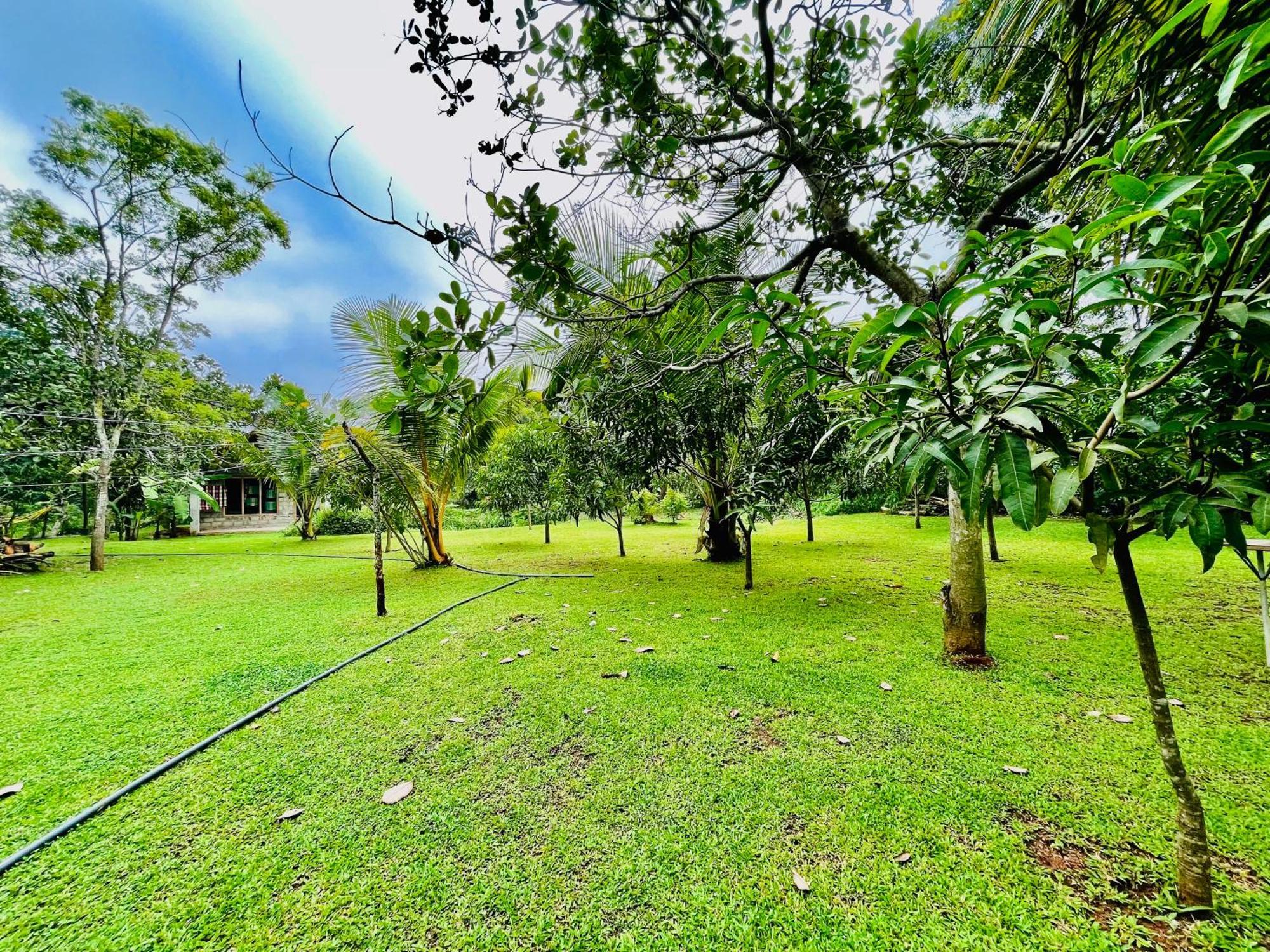 Green Cottage Anurâdhapura Extérieur photo